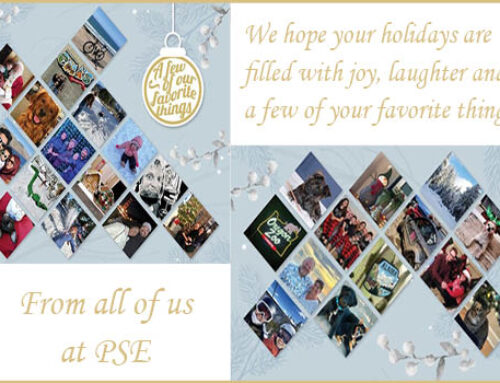 Happy Holidays from PSE!